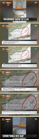 또 논란터진 여수섬박람회 근황