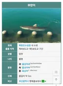 부산 사람들은 진짜 모르는 사람한테 말을 걸까?