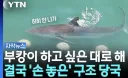 “부캉이 하고 싶은 대로 해.. 구조 포기”