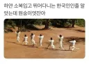 소복입은 한국인 무리