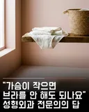 가슴 작으면 브라를 안해도 되나요?.jpg