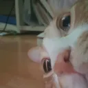 방에서 조용히 울었다