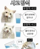 사고 방식 차이.jpg