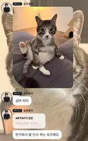 유승호 고양이 뚱뚱까스다 vs 빼빼까스다