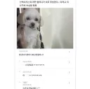 너무 못생겼다고 하면서 지나간 할머니
