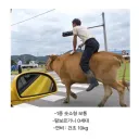 국내에서 음주운전 가능한 수소차.JPG