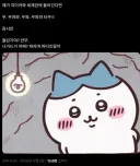 치이카와)트위터에서 인기인 하치와레 밈