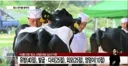 유방 40점, 다리 25점, 외모 25점, 엉덩이 10점
