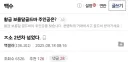 백수가 정신 차리는 순간.jpg