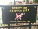 공원 내 길빵금지 개도 금지