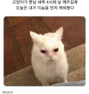 내로남불의 끝판왕
