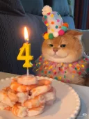 고양이: 4살 생일이고 뭐고 빨리 새우부터 먹읍시다🍤