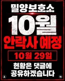 10월 29일 밀양보호소 안락사대상