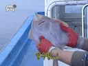 무한도전 노빠꾸 시절 자막