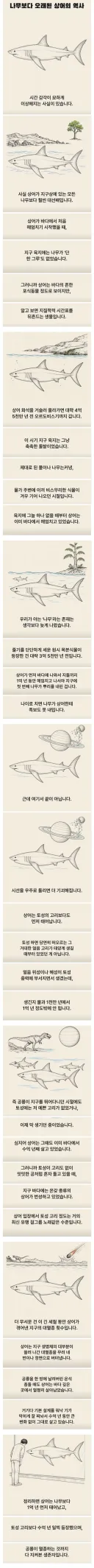 알고보면 개쩐다는 상어의 역사