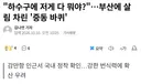 부산에 정착중이라는 중동산 바퀴벌레