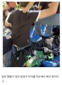 전북현대 의자 파손 사건 근황.jpg