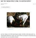 "태안 기름 사태 피해 복구한 놈들 기름값 내놔라."
