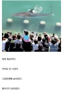 실검 단골 부캉이