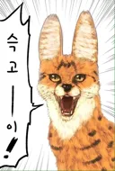 2018년도에 싱가포르 단체관광 투어로 여행했는데 되게 열악한 나라더라