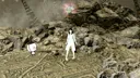30추 곰수사입니다