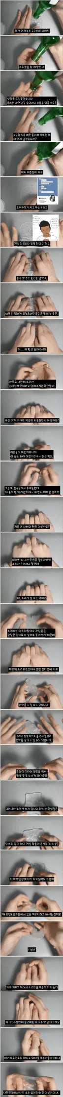 한국 소주 처음 먹어본 사람의 소감
