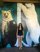 북극곰 실제 크기