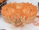 킹크랩 태어나서 처음 먹었는데 너무 맛있어서 눈물날거 같아