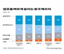 CXMT, YMTC의 성장이 무섭네요.
