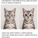 집사 유게이들아 질문이 있어