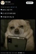 림버스) 10장 입문 뉴비들 근황