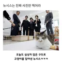 뉴시스는 진짜 사진만 찍어라