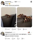 머리핀 좀 이렇게 올려놓지 마라.jpg