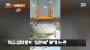 여수 섬박람회 여기도 제대로 털어야 되는데 말입니다