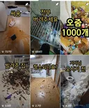 보면 정신이 피폐해지는 쓰레기집들 청소 피드 ㄷ.jpg