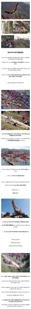 베글의 사망자 발생한 일본 단지리 축제보다 좀 더 위험한 축제.jpg