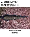 이태원 압사사고 생존자후기