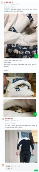 별점 5점 받은 고양이 이불 리뷰.jpg