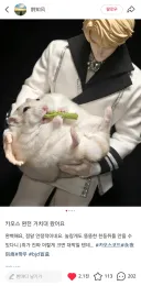 어떤 피규어의 사용법.jpg