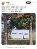 x 관광객과 현지인 차이tw