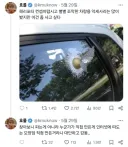 해리포터 컨셉 굿즈 대부분 조악한데 이건 사고싶다.jpg
