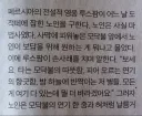 페르시안 고양이 탄생 설화.jpg
