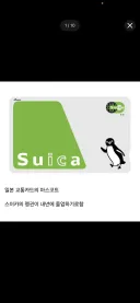 스이카 펭귄 졸업 (펌)