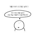 강아지를 키우기 전 했던 생각toon