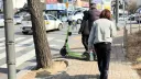 지방 살면 대여킥보드가 무서워지는 이유