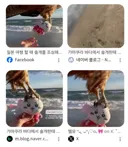 베글의 치이카와 인형 납치장소와 납치범은..