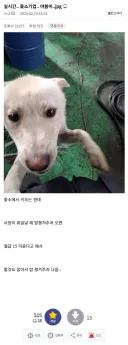 ㅈ소기업에서 월급 15씩 더 받는 방법.jpg