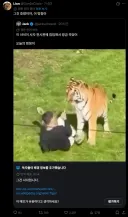 내가 해외영상을 번역 하면서 깨달은 영어의 놀라운 진실