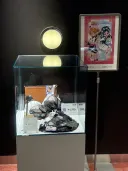 초대!!!! 이것이 대체 무슨 일이오?