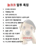 늙크크 말투 특징.jyp